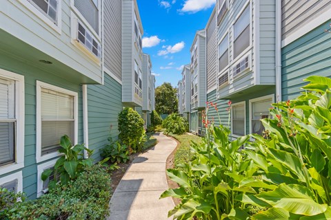 A row of houses with green plants in front.