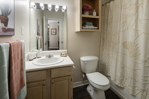 2300 Edenborn Ave Studio-2 Beds Apartment for Rent