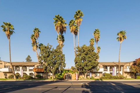 A row of palm trees in front of a building.