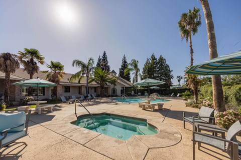 A sunny day at a poolside with palm trees and a house in the background.