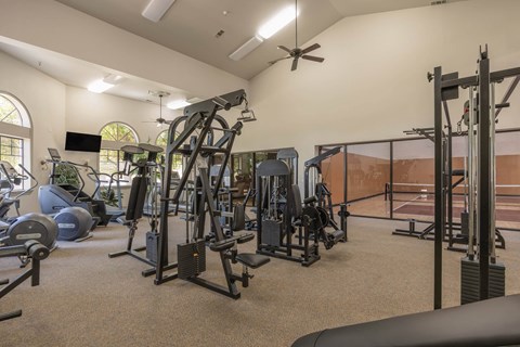 A spacious gym with a variety of equipment including treadmills, weights, and a ceiling fan.