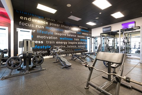 a view of the fitness center with weights and cardio equipment in a gym