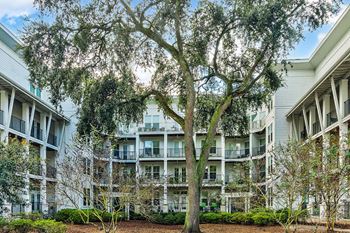 A tree in front of apartment buildings.