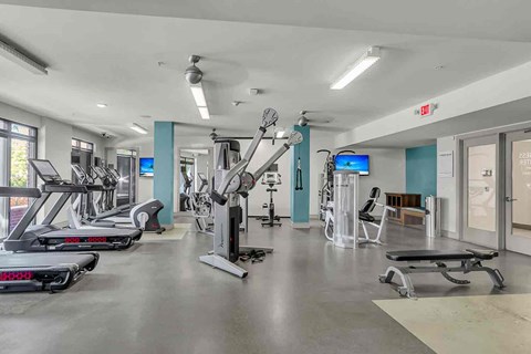 A gym with treadmills, elliptical machines, and other exercise equipment.