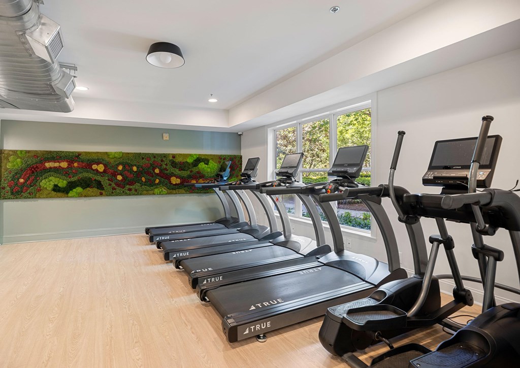A row of treadmills in a gym with a mural of a garden on the wall.