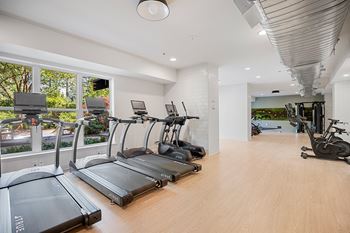 A gym with treadmills and elliptical machines.