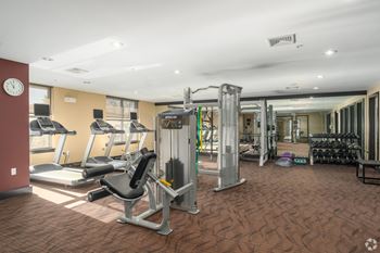 A gym with a variety of equipment including treadmills, weights, and a bench press.