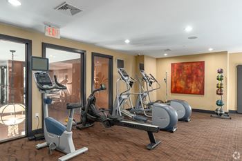 A gym with a variety of equipment including treadmills, stationary bikes, and weight machines.