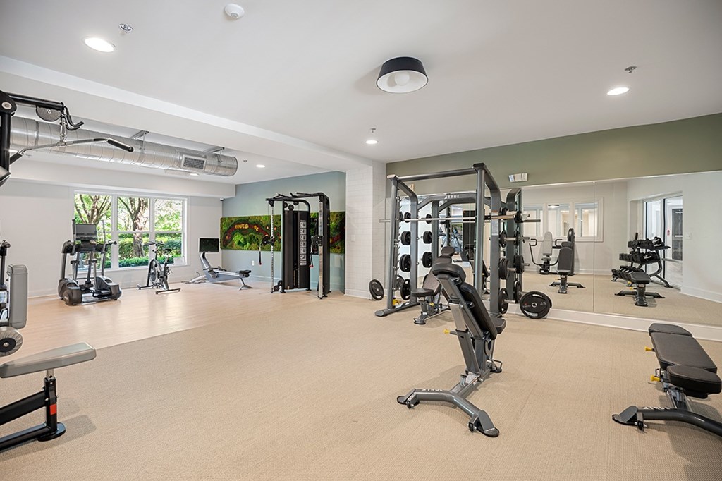 A spacious gym with a variety of equipment.