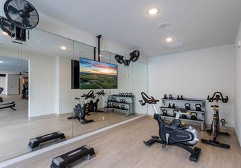 A spacious room with a mirrored wall, a row of exercise bikes, and a television displaying a sunset.