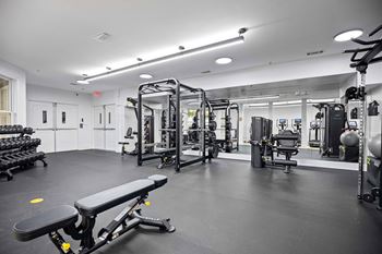 A gym with a variety of equipment including a bench, weights, and a squat rack.