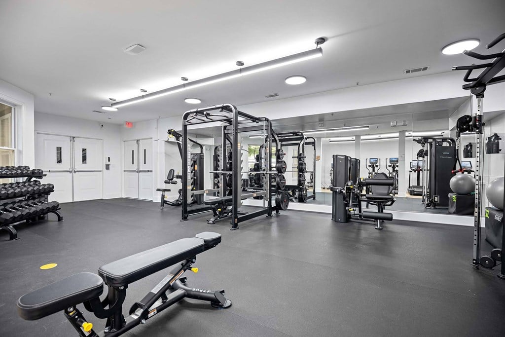 A gym with a variety of equipment including a bench, weights, and a squat rack.
