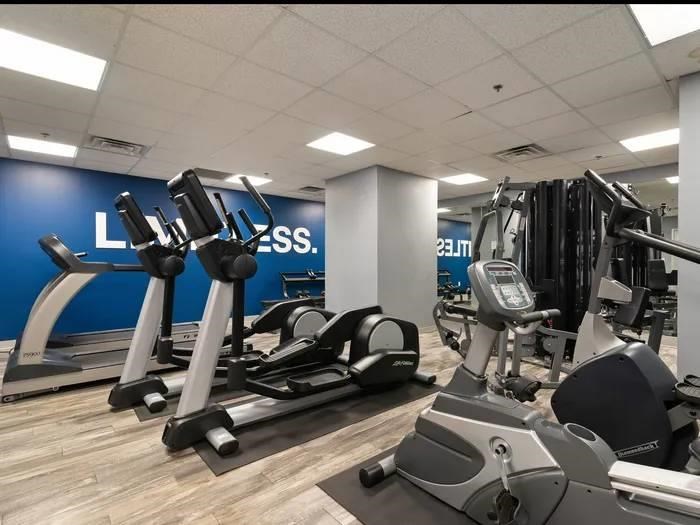 A gym with a variety of equipment including treadmills, stationary bikes, and weight machines.