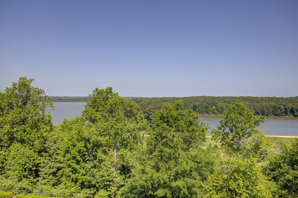 A lake surrounded by green trees under a clear blue sky.