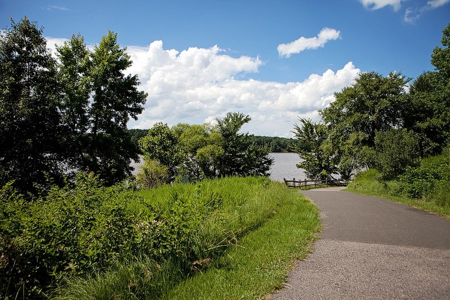 A pathway leads through a grassy area to a body of water.