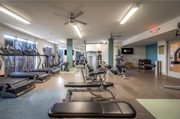 A gym with treadmills, exercise bikes, and other equipment.