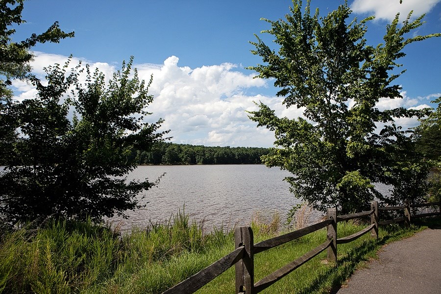 A lake surrounded by trees and a wooden fence.