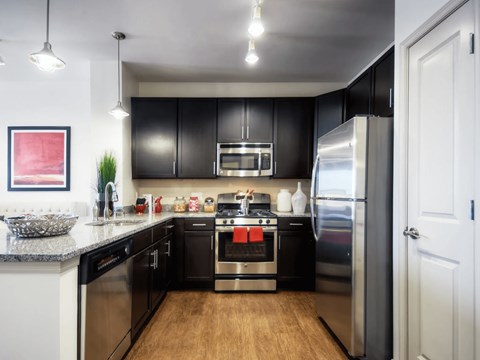 A modern kitchen with black cabinets and stainless steel appliances.