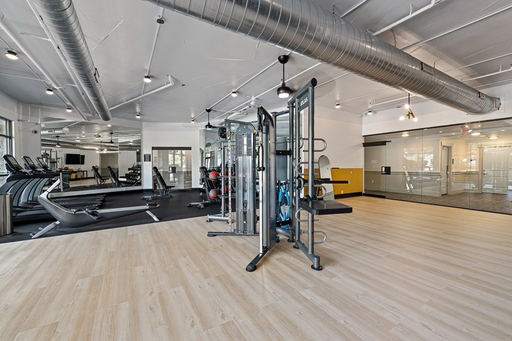 A gym with a variety of equipment including treadmills, weights, and a squat rack.