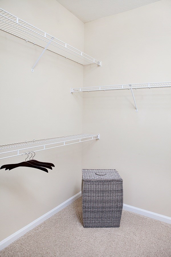 A room with a hanger and a box on the floor.