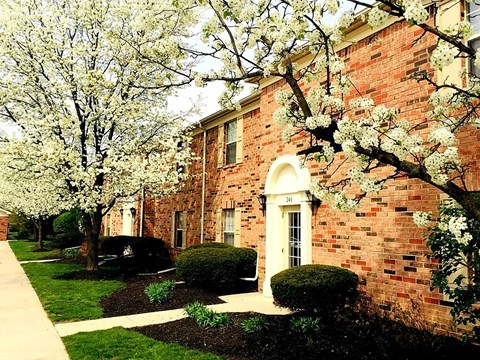 a brick building with flowering trees in front of it