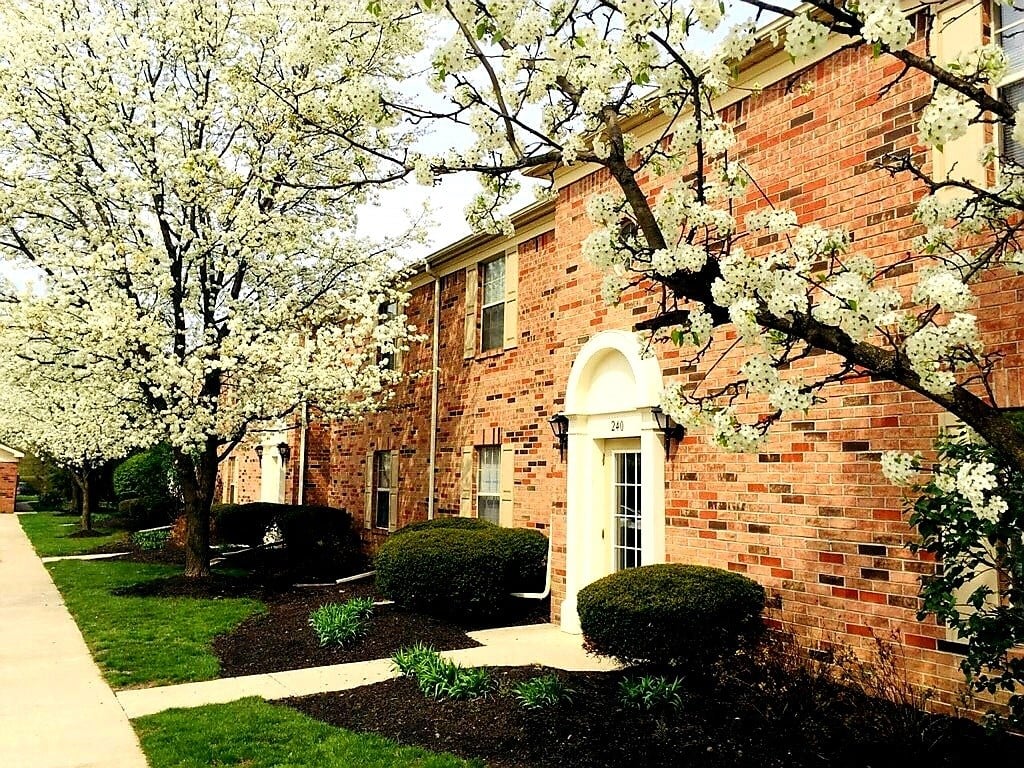 a brick building with flowering trees in front of it