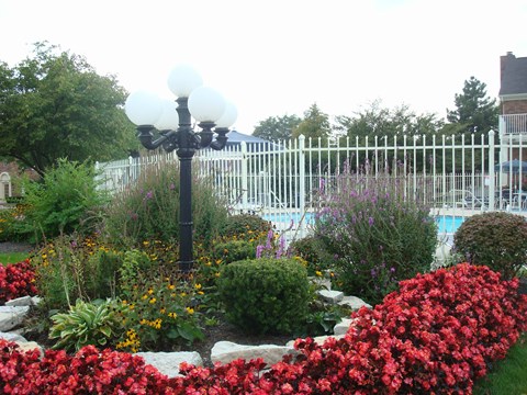 Windsor Court Pool