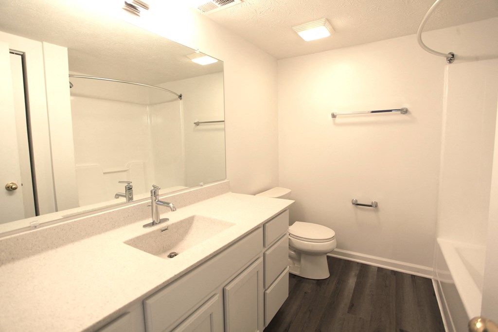 a bathroom with a sink and a toilet and a mirror