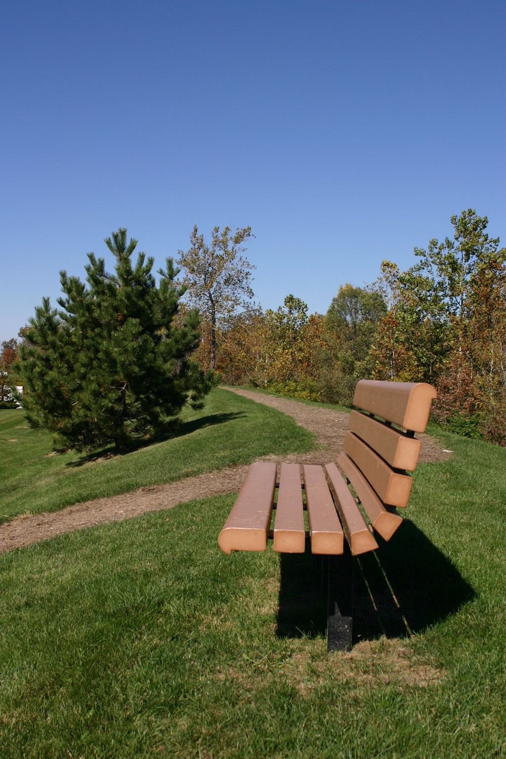 a park bench in the middle of a grass field