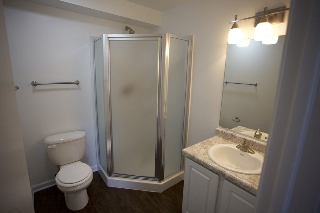 a bathroom with a shower toilet and sink