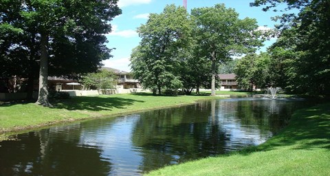 A serene park with a pond and trees.