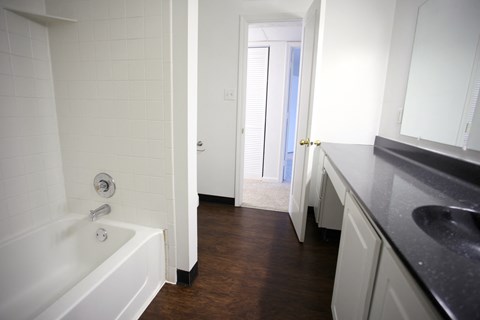 a bathroom with a tub and a sink and a mirror