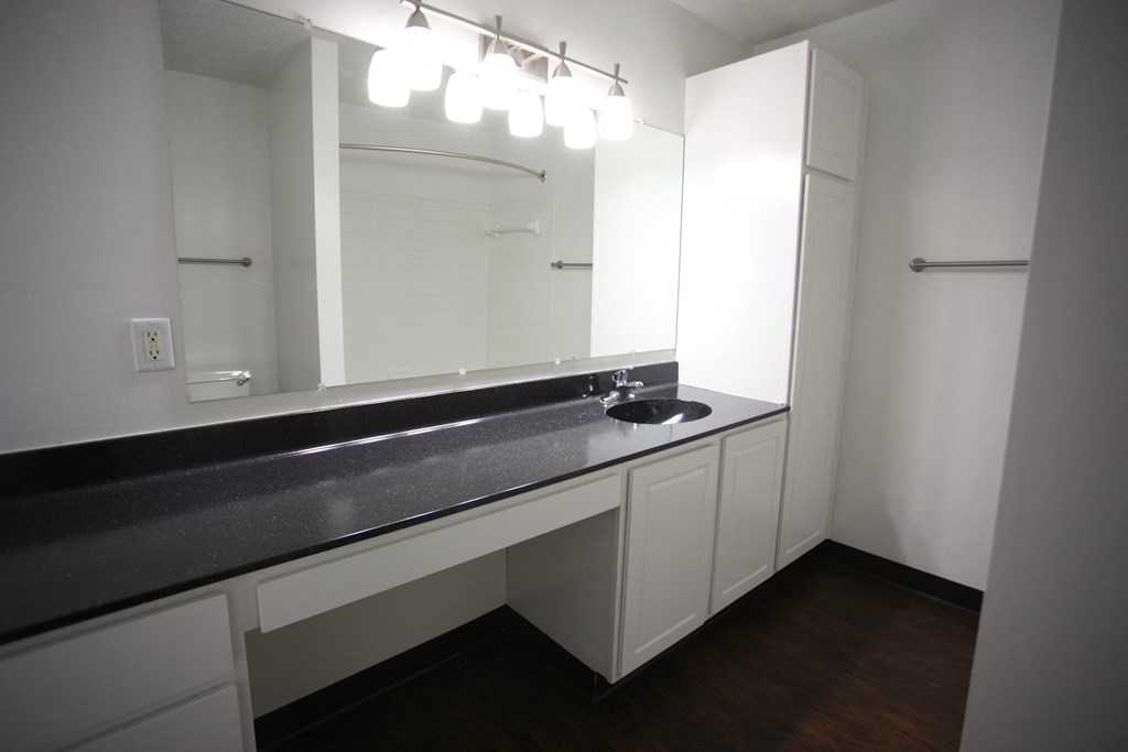 a bathroom with a sink and a mirror