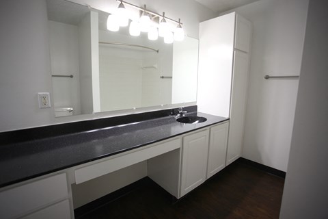 a bathroom with a sink and a mirror