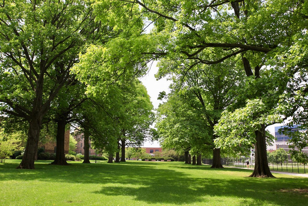 Lockefield Gardens Historic Park
