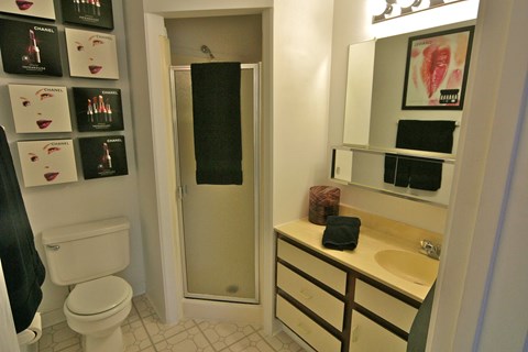 a bathroom with a shower toilet and sink and a mirror