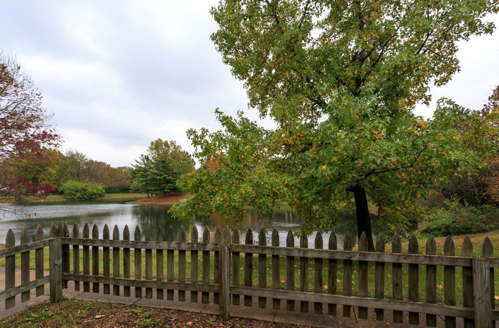 a view of a pond and a fence