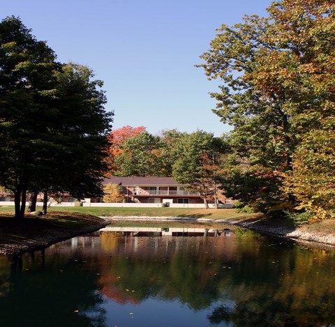 A serene landscape with a house, trees, and a pond.