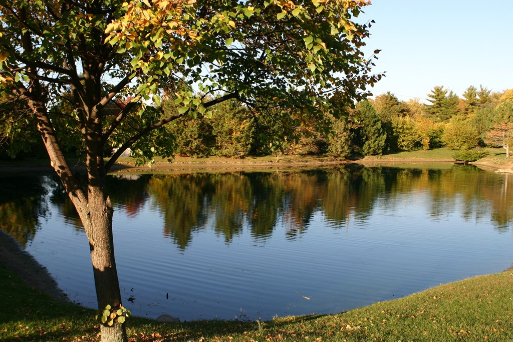 Windsor Court Lake