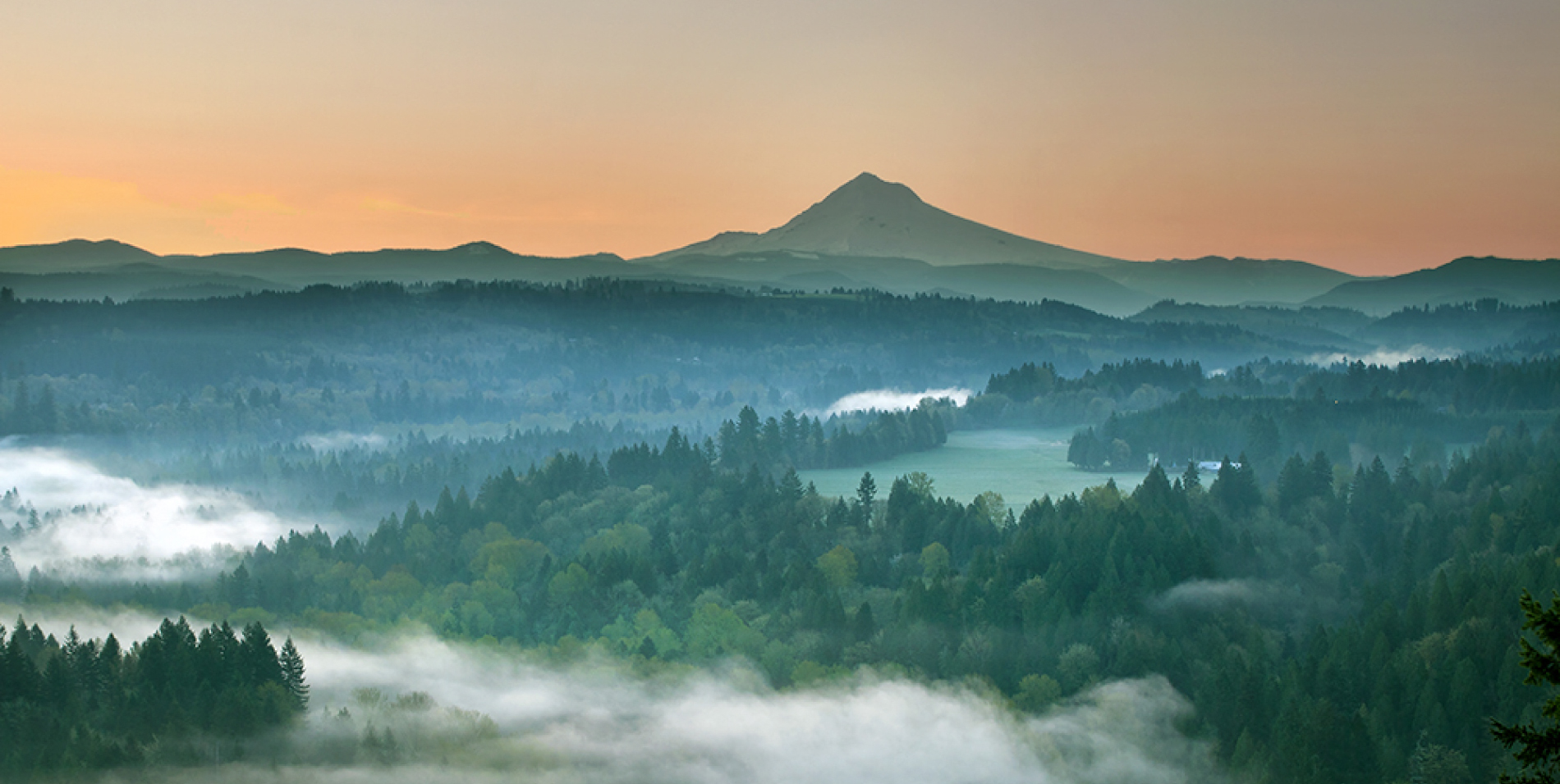 Owl S Nest Senior Apartments Apartments East Cleveland Oh Apartments Com