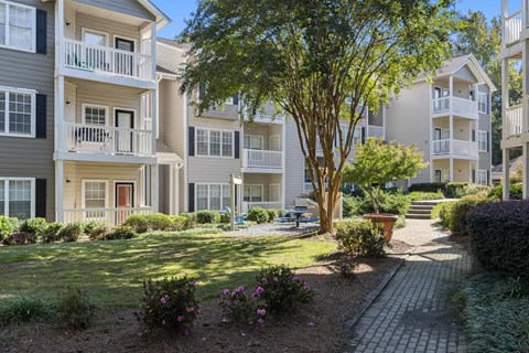 A tree in a courtyard surrounded by apartment buildings.