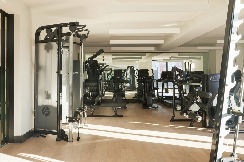 a gym with a lot of exercise equipment in it