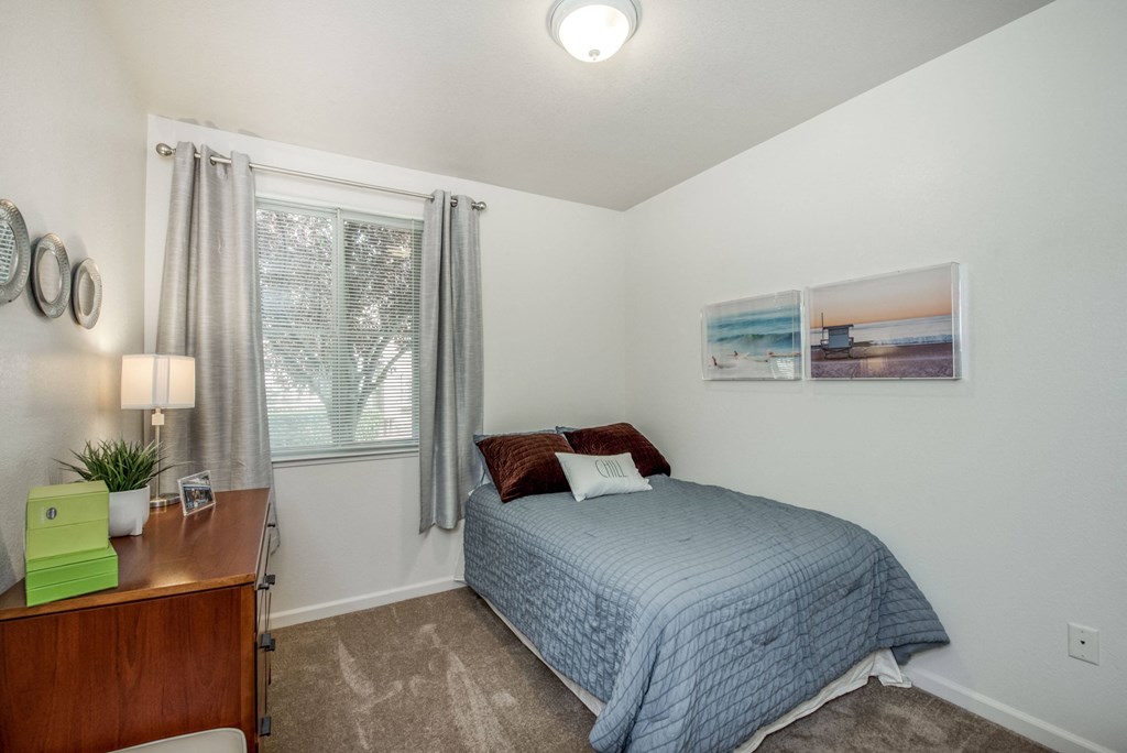 Small carpeted bedroom with twin bed and dresser large window and ceiling light