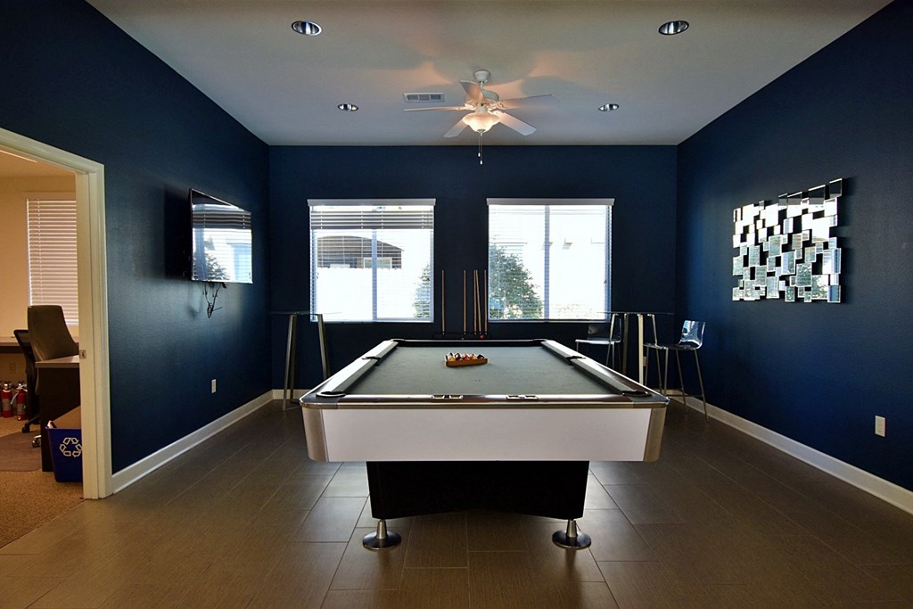 Community Room pool table