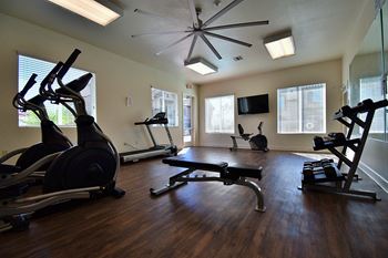Gym Equipment
