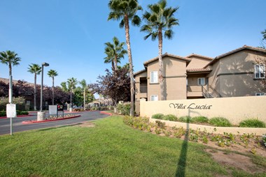 Villa Lucia palm tree line front street entrance with gate control