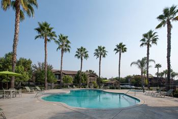 Pool Spa area - tables chairs umbrellas - 8 palm trees