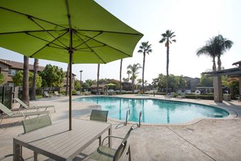 Large pool and spa - chairs table umbrellas - lounges - palm trees