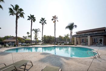 Pool Spa area - tables chairs umbrellas - Palm trees - large pool deck