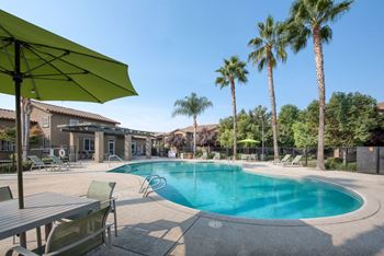 Large pool and spa - chairs table umbrellas - lounges - palm trees